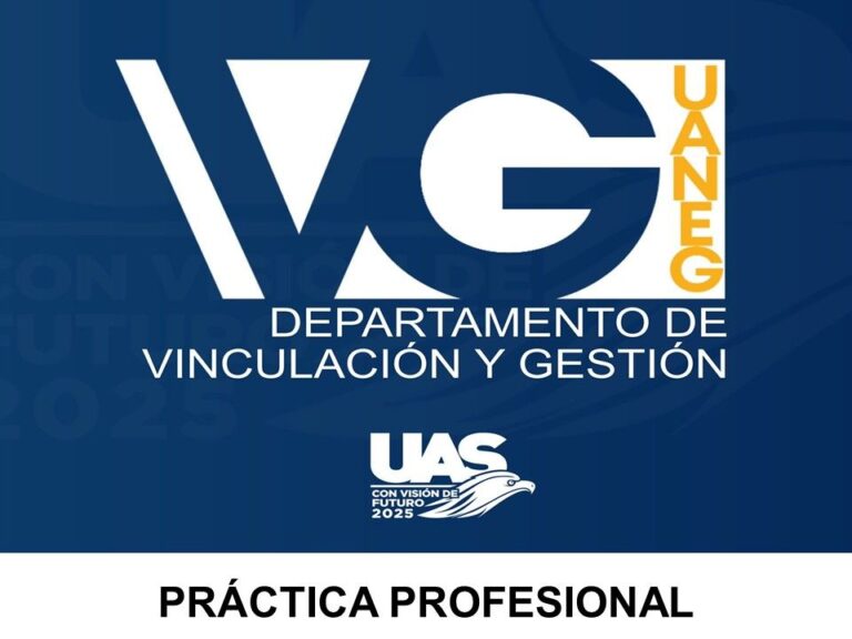 Logo PRACTICA PROFESIONAL 768x576